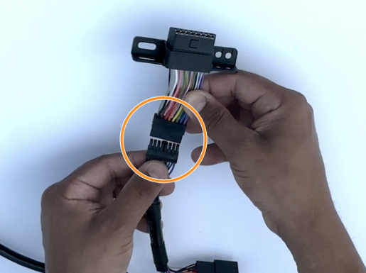 Connexion Molex